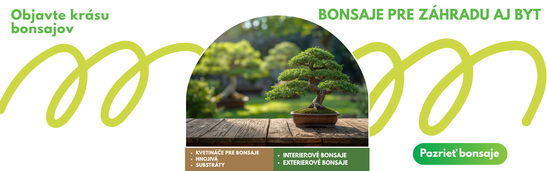 Nové bonsaje