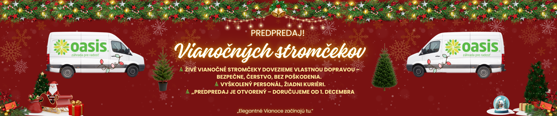 Vianočné rezané stromčeky