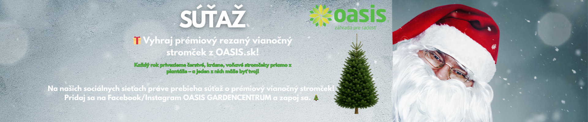 Súťaž o vianočný stromček