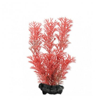 Tetra Plastová rastlina Red foxtail Plus XXL