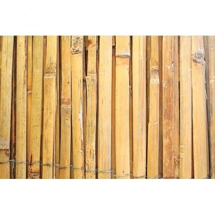 Bambusový plot 1000mm/5m štiepaný