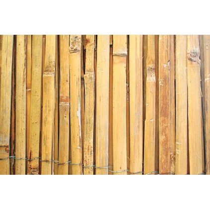 Bambusový plot 1500mm/5m štiepaný