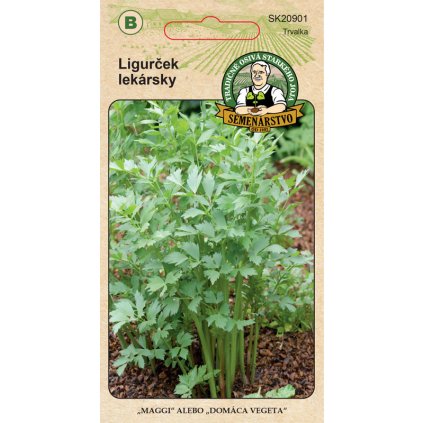 Ligurcek lekársky