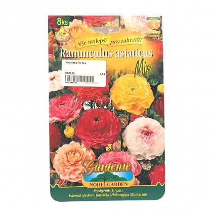 Ranunculus/iskernik/8ks  Rannunculus asiaticus