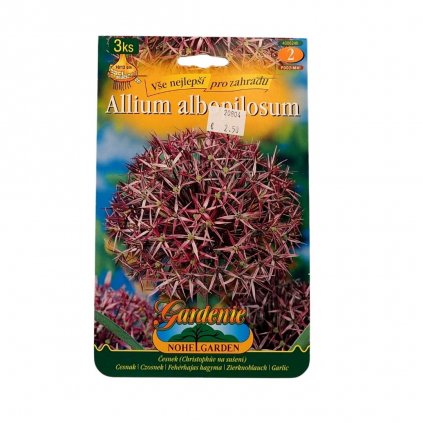 Cibule Cesnak okrasný veľkokvet. 3ks  Allium albopilosum