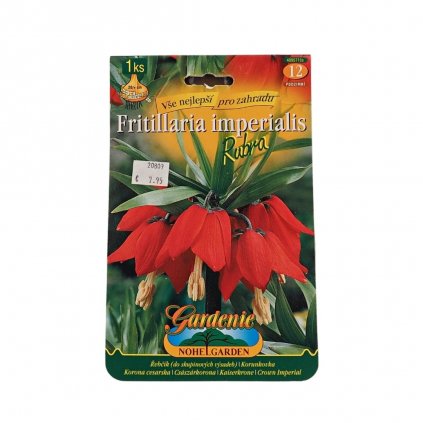 Cibule Korunkovka 1ks červena  Fritillaria imperialis Rubra