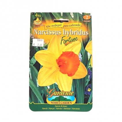 Cibule Narcis záhr. veľkokorunný Fortune 4ks  Narcissus hybridus Fortune