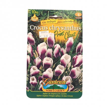 Cibule Crocus PRINS CLAUS 10ks  Crocus chrysanthus Prins Claus