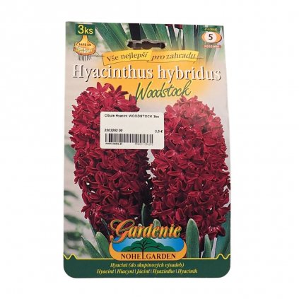 Cibule Hyacint WOODSTOCK 3ks  Hyacintus orientalis Woodstock