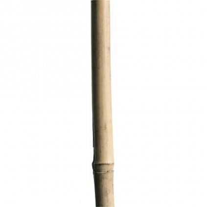 Bambus. tyč 240 cm