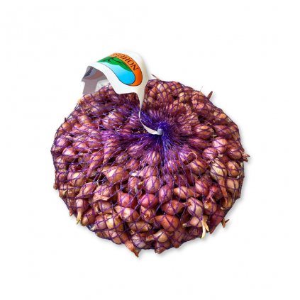 Cibuľa sadzačka Rosanna ružová 500g 8-16mm