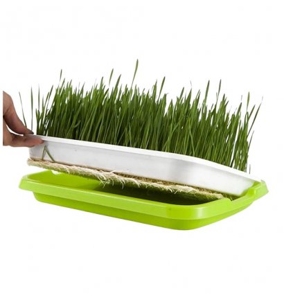 Pestov.tácka pre microgreens