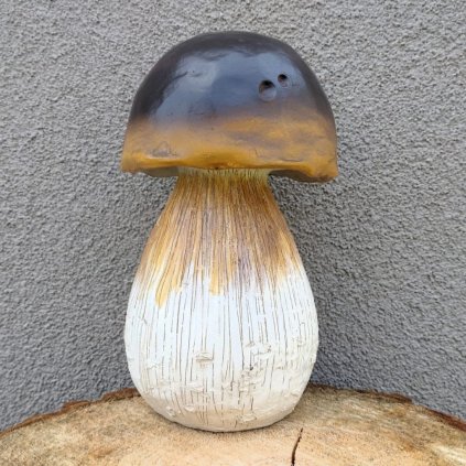 Hríb veľký V20cm