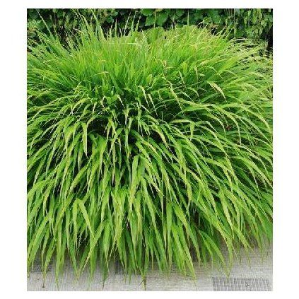 aaecedee 2572 5a58 8201 7a10381e05e0