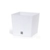 Kvetináč biely Rato Low DRTS325L Prosperplast