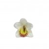 Kvet hlava Orchidea 12 cm 82866
