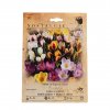 Cibule CROCUS Zmes 40ks/BO-MIX/NOSTALGIE MAXIPACK/  Crocus speciosus