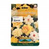 Cibule Narcis záhradný, plnokvetý zmes 5ks  Narcissus hybridus