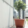 Kvetináč TERRA okrúhly terakota 64cm