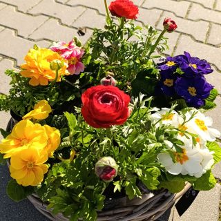 Jar začína a u nás sa všetko prebudilo 🌸🌱🤩😍🙂 nezabudnite sa zastaviť 😉