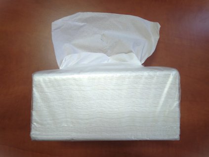 Jednorázové papírové ručníky - 2vrstvé bílé - 20x18cm