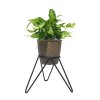Kovový stojan na květiny TROJNOŽKA BRUSEL černý, velikost S