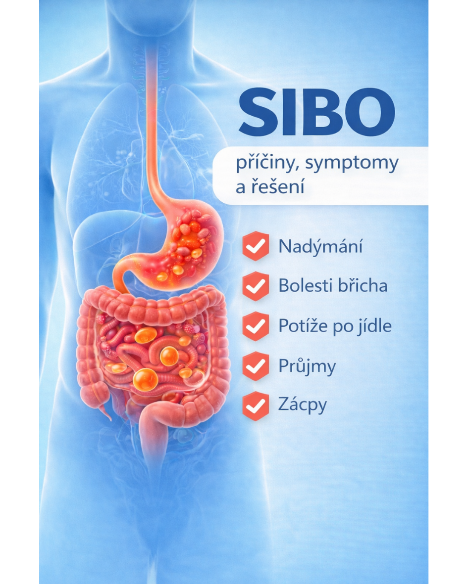 Co je to SIBO a jak vzniká