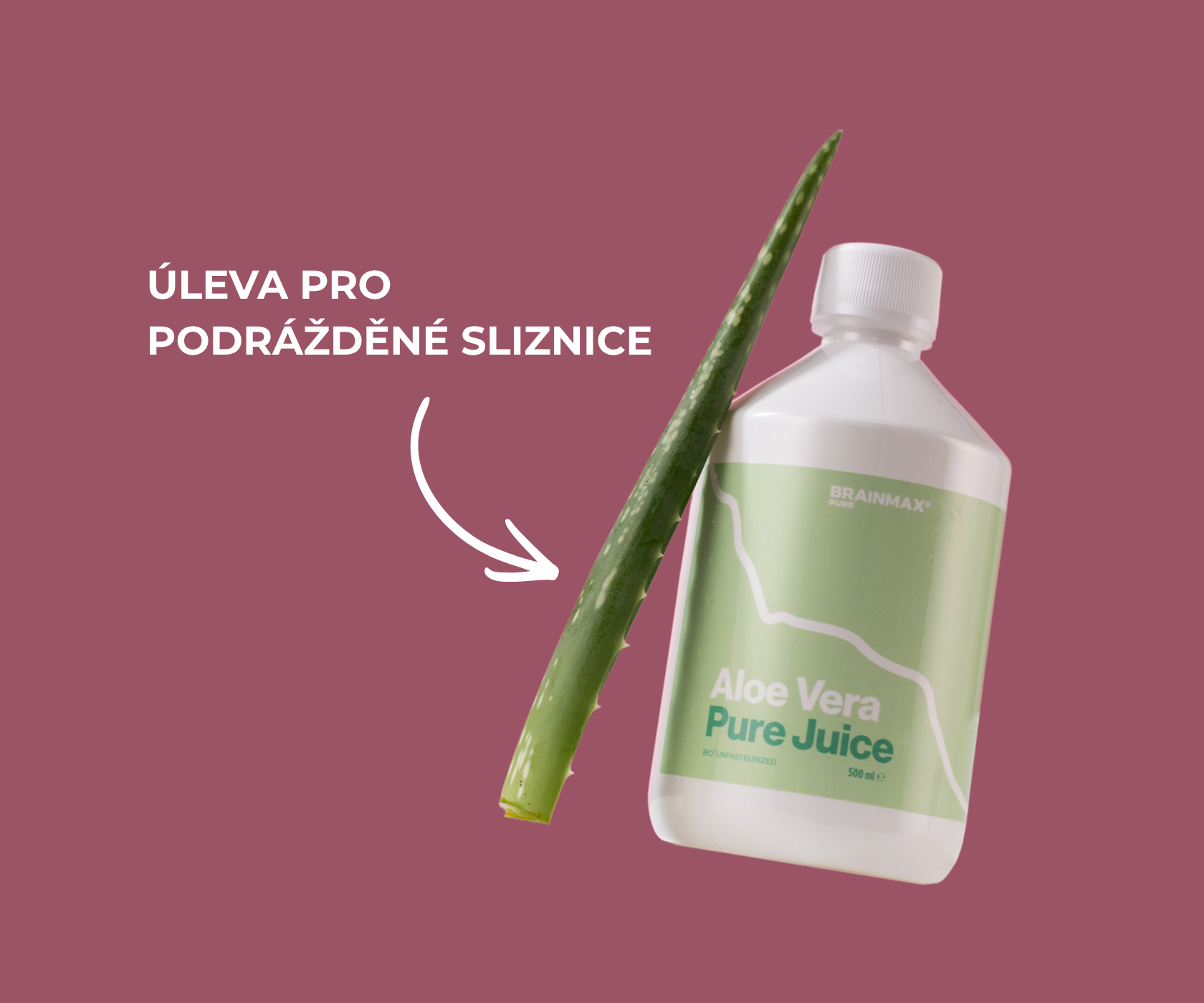 Aloe vera