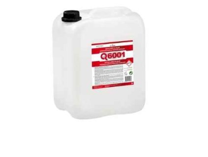 Q6001
