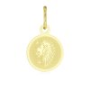 Zlatý přívěsek Lev - měsíční znamení