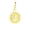 Zlatý přívěsek Ryby - měsíční znamení