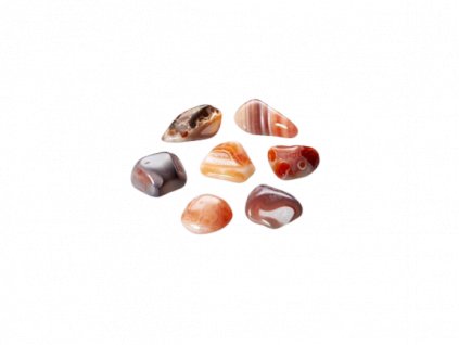 11673 removebg preview