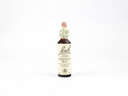 Chestnut Bud, Kaštan koňský, poupě 20 ml - Bachovy esence