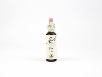 Elm, Jilm 20 ml - Bachovy esence