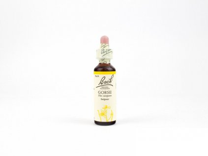 Gorse, Hlodaš evropský 20 ml - Bachovy esence