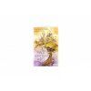Tarot skrytých světů - karty