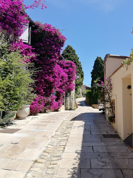 Jižní Francie: Objevte skvosty francouzské riviéry a kouzlo Provence