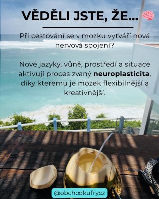 Věděli jste, že…? 🧠 #cestovani #travelingthroughtheworld #travelingmakesyouricher #vedelijsteze #zdravyzivotnistyl
