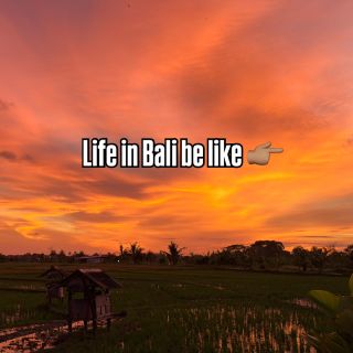 #balilivin #balilifestyle #balidaily #liveyourdreams