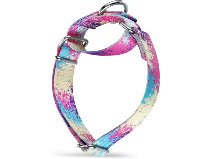 Dazzber Martingale obojek pro psa, série barevných olejomaleb, L (1)