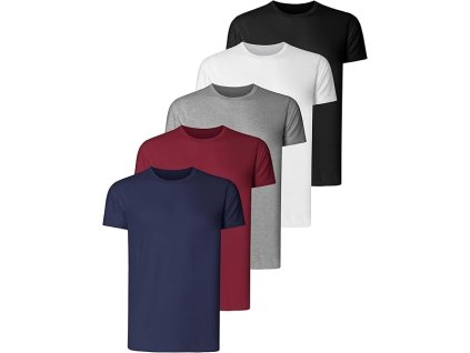 Teesmen 5ks Pánské sportovní tričko 4XL, bavlněné, multipack (1)
