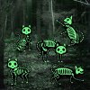 5ks Strašidelně zářící kostra černé kočky, zelená fluorescence (3)