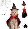 Halloweenský kostým pro kočky, psi a malá zvířata, (netopýr) (1)