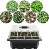 3ks Pokojový mini skleník, 36 misek, sada na pěstování s víkem a větráním pro semena a sazenice (4)