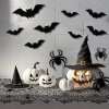 29ks halloweenských dekorací, pavučinový běhoun, 3D netopýři, 3D pavouci (4)