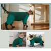Kočičí oblečení pro kočky, koťata, ideální pro Sphynx bez srsti, 2XL, zelený (2)