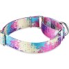 Dazzber Martingale obojek pro psa, série barevných olejomaleb, L (2)