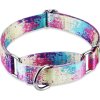 Dazzber Martingale obojek pro psa, série barevných olejomaleb, L (3)