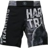 Hardcore Training Shorts Recruit pánské krátké kalhoty, pes, XS (6)