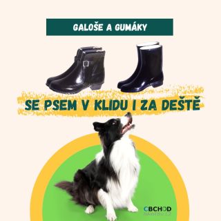 ❄️➡️🌱 Mokro, déšť, břečka, tání sněhu Nízké holínky a galoše to jistí 👢 Navíc.. ČESKÁ VÝROBA! 👉 www.obchod-na-webu.cz...